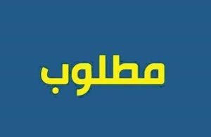فرص عمل