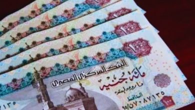 الجنيه المصري