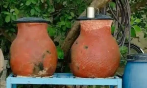 سمّ الماء