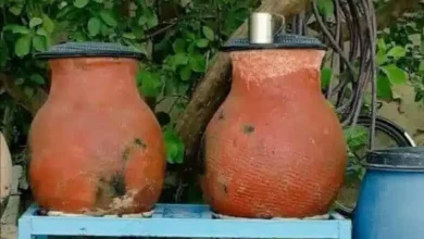 سمّ الماء