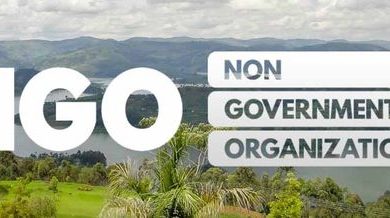 NGO