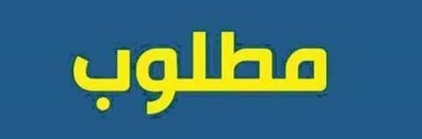 مطلوب