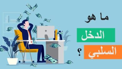 الدخل السلبي