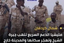 مليشيا الدعم السريع