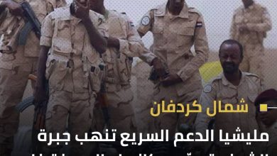 مليشيا الدعم السريع