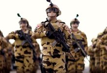 الجيش المصري