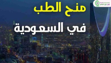 منحة دراسية