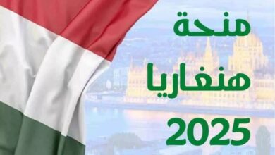 منحة دراسية