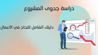 دراسة جدوى المشروع