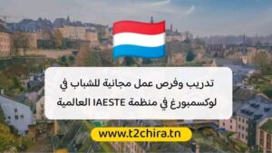 منظمة IAESTE