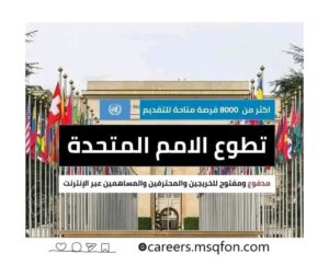 تطوع الأمم المتحدة 