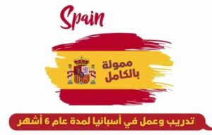 تدريب وعمل في إسبانيا