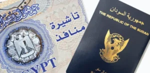 القنصلية المصرية