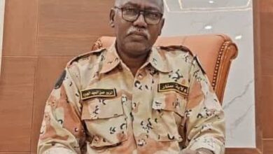 الزبير حسن السيد