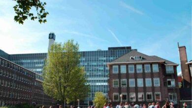 منحة دراسية