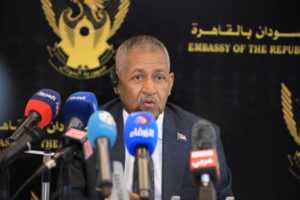 السفير عماد عدوي