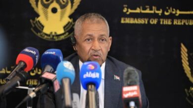 السفير عماد عدوي