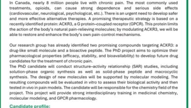 فرصة للدكتوراه