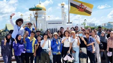 منحة جامعة برناوي