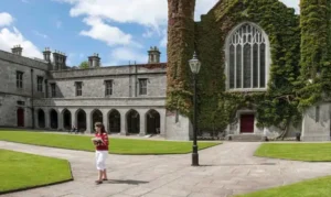 منحة دراسية 