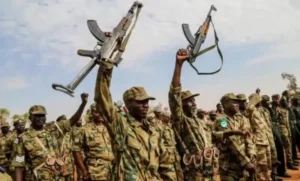 القوات المسلحة السودانية 