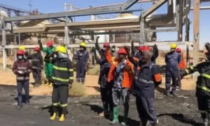 مصفاة الجيلي