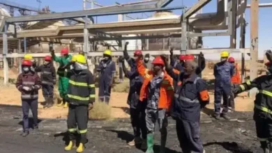 مصفاة الجيلي