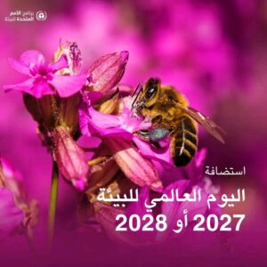 اليوم العالمي للبيئة 