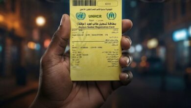 مفوضية الأمم المتحدة