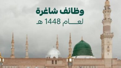 وظائف مدارس الخندق