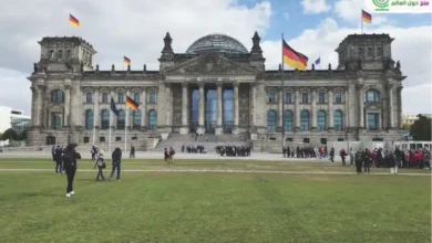 منحة دراسية