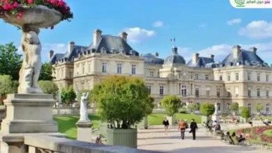 منحة دراسية