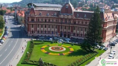 منحة دراسية