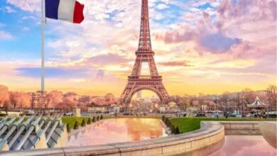 منحة دراسية