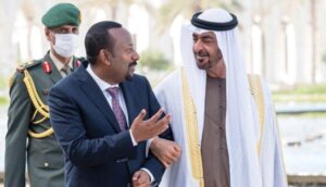 زايد وأبي أحمد