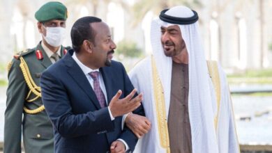 زايد وأبي أحمد