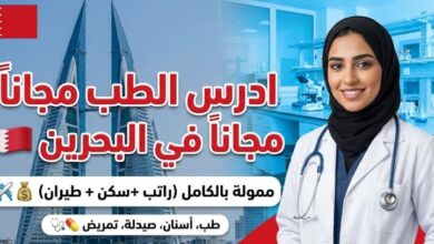 منحة دراسية