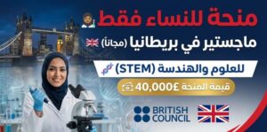 منحة المجلس الثقافي البريطاني 