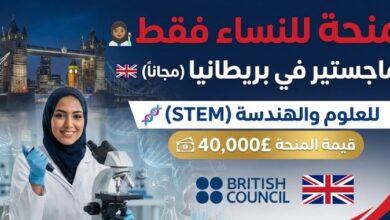 منحة المجلس الثقافي البريطاني