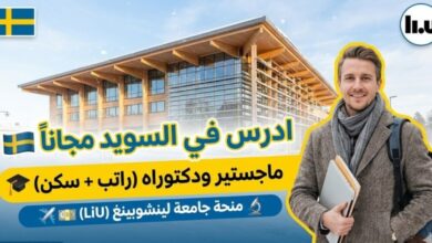 منحة دراسية