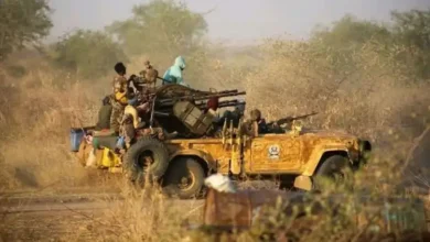 الجيش السوداني