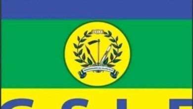 قوى تحرير السودان