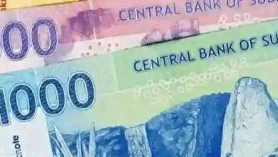 العملة السودانية