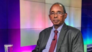 عثمان ميرغني