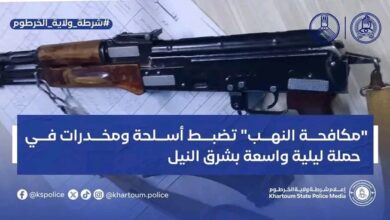 حملة أمنية