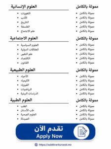 برنامج متطوعي الأمم المتحدة