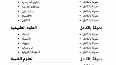 برنامج متطوعي الأمم المتحدة