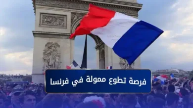 فرصة تطوع