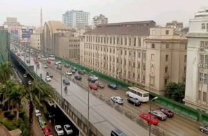 الحكومة المصرية 