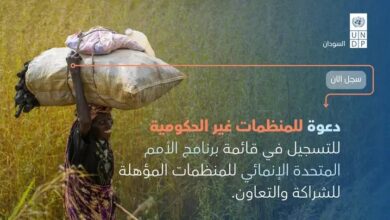 برنامج الأمم المتحدة الإنمائي